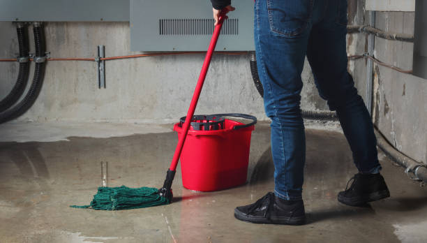 Best Sewage cleanup and water damage restoration  in Pennsboro, WV