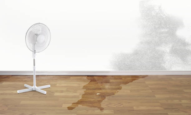 Best Water damage restoration near me  in Pennsboro, WV
