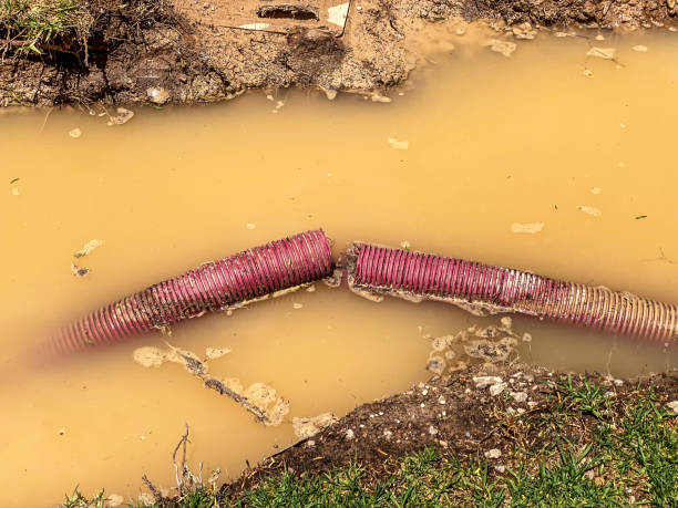 Best Basement water damage restoration  in Pennsboro, WV