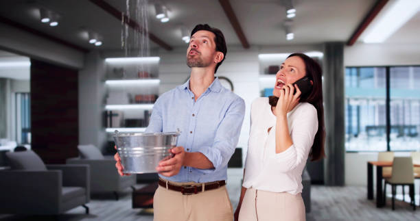 Best Mold removal after water damage  in Pennsboro, WV
