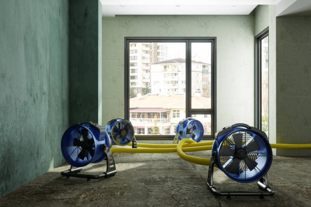 Best Local water damage restoration  in Pennsboro, WV