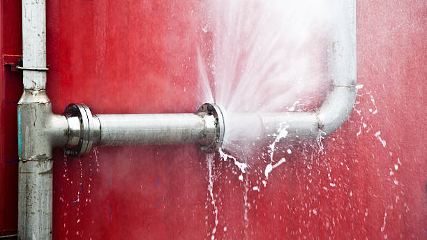 Best Carpet water damage restoration  in Pennsboro, WV